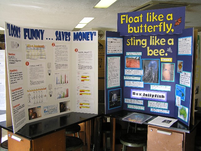  fair projects to the annual district science fair in Honolulu this week.